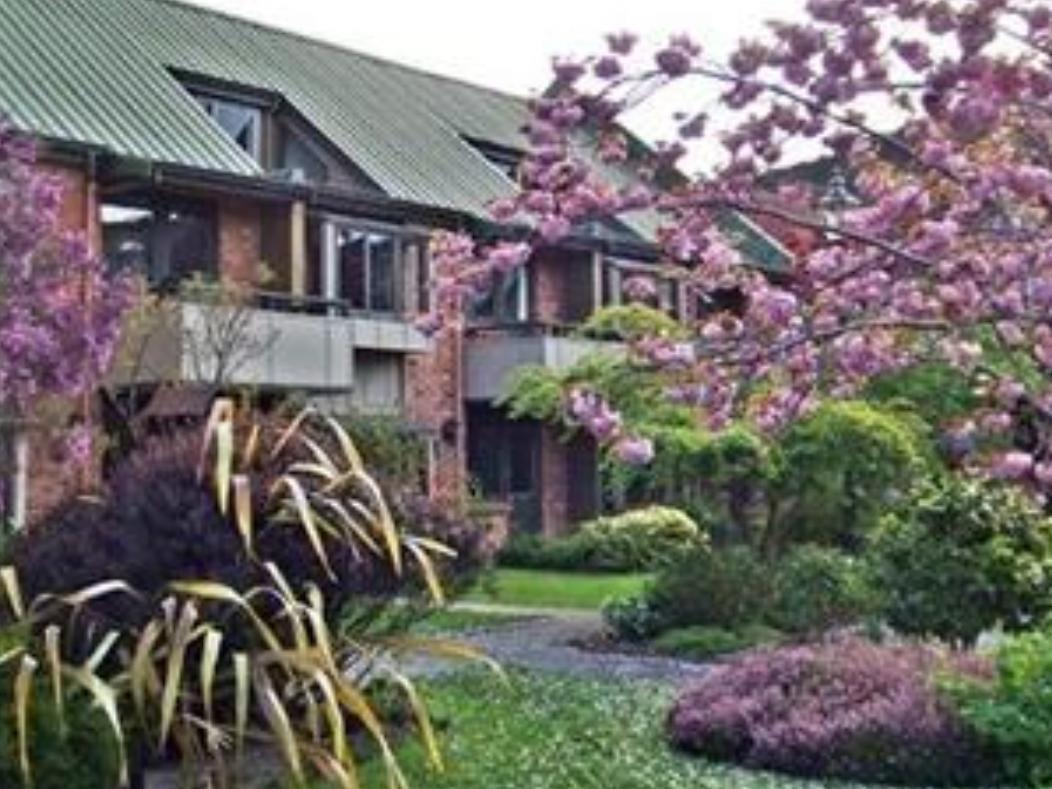 Woodlands Motels And Apartments Dunedin Exterior photo